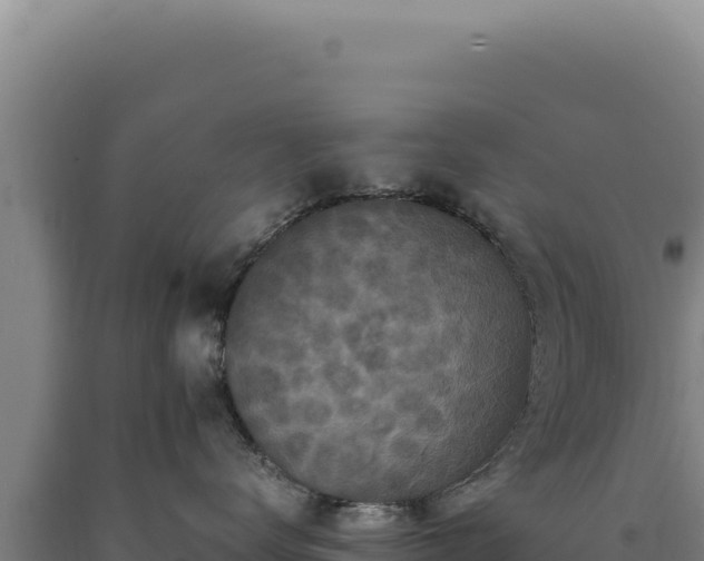 X0000090760672200707271507