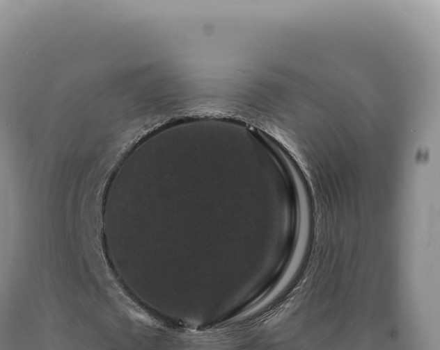 X0000090760673200707271507