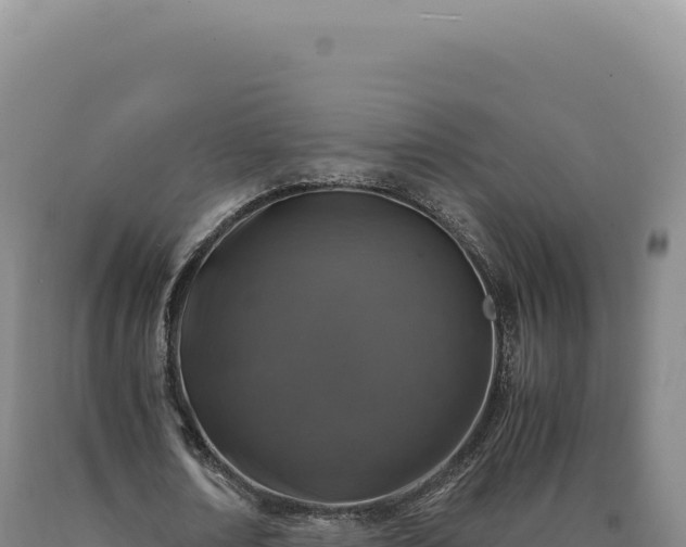 X0000090760674200707271507