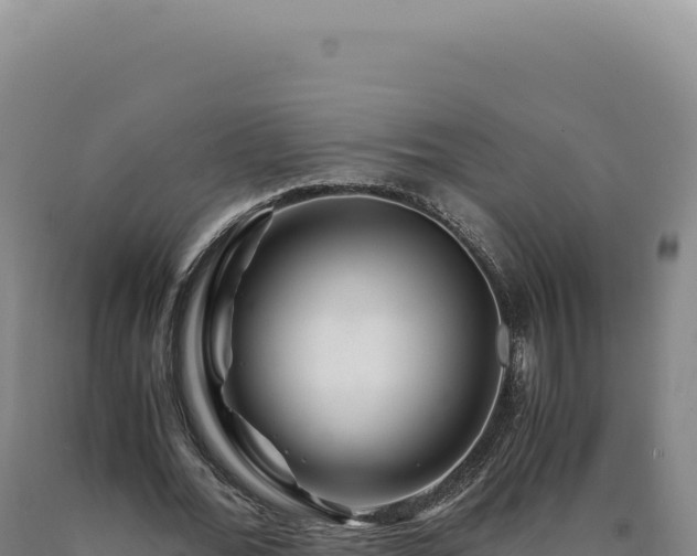 X0000090760676200707271507