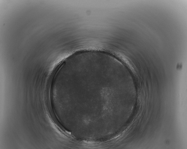 X0000090760677200707271507