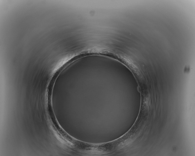 X0000090760678200707271507