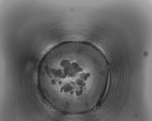 X0000090760679200707271507