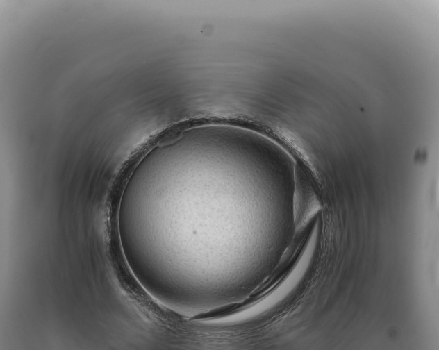 X0000090760680200707271507