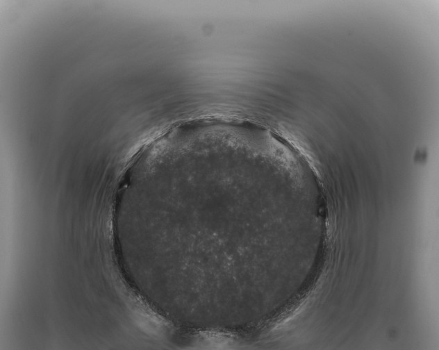 X0000090760681200707271506