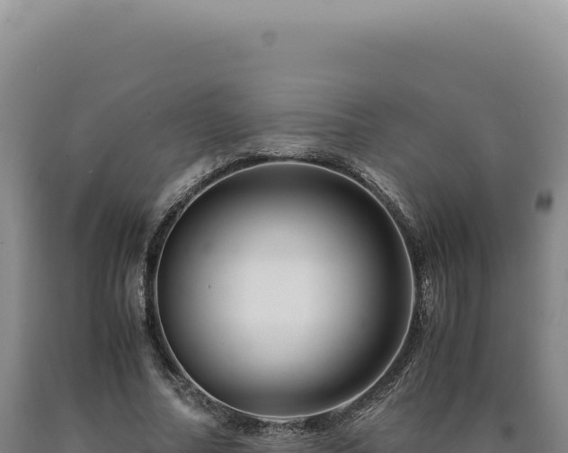 X0000090760682200707271506