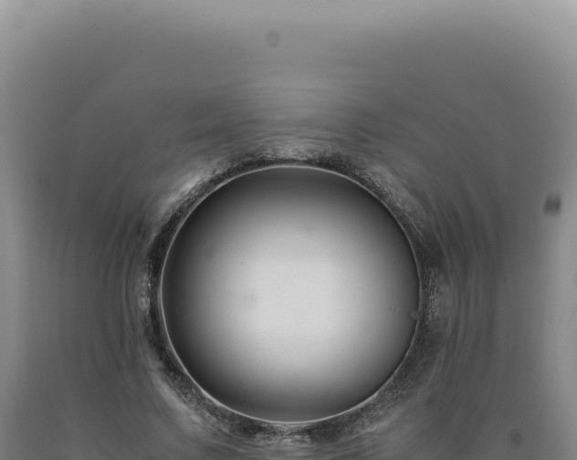 X0000090760683200707271506