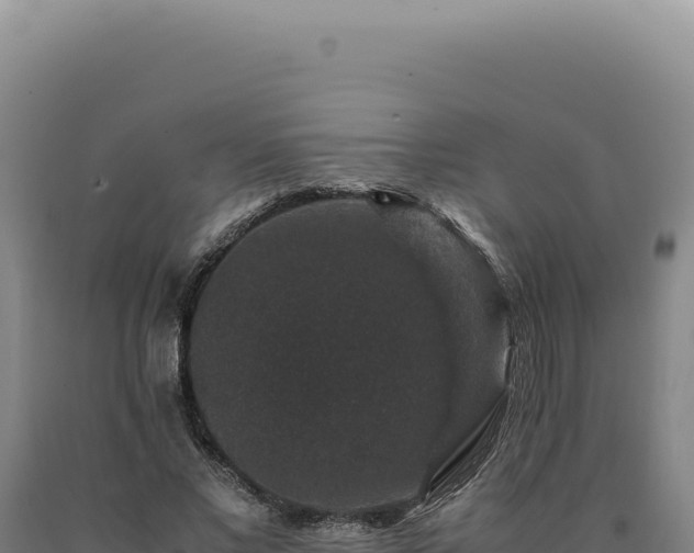 X0000090760685200707271506