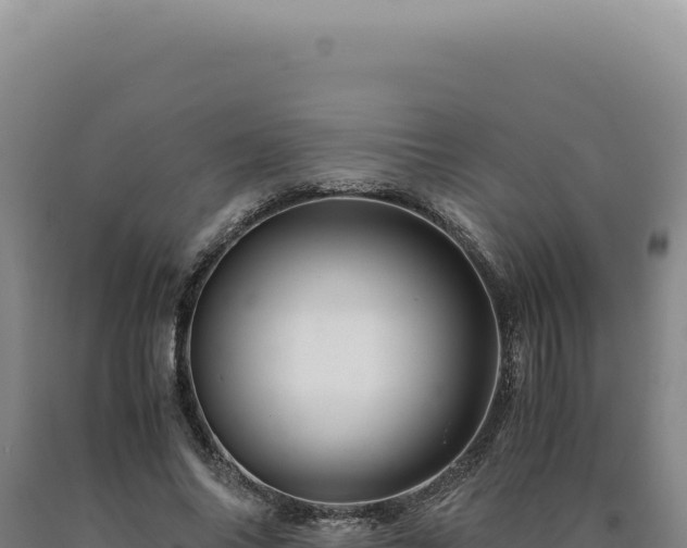 X0000090760686200707271506