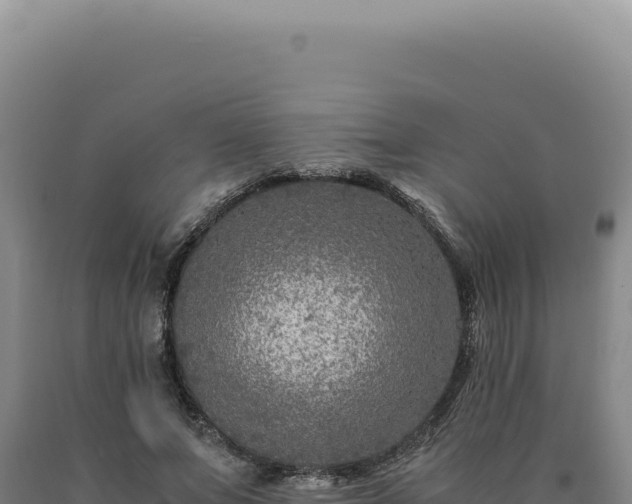 X0000090760687200707271506