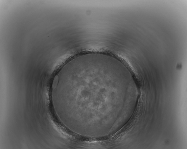 X0000090760688200707271506