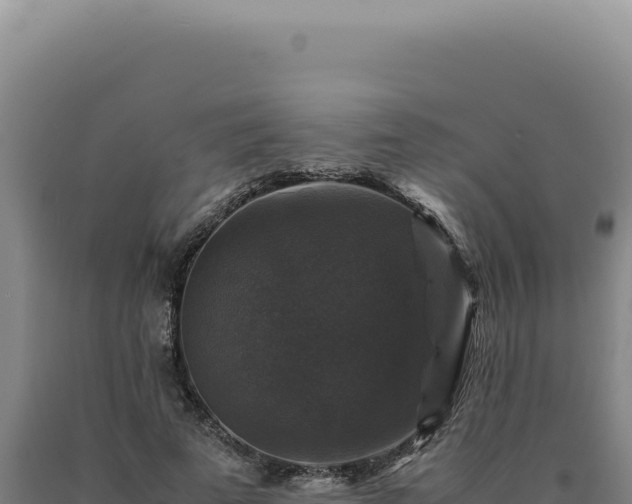 X0000090760689200707271506