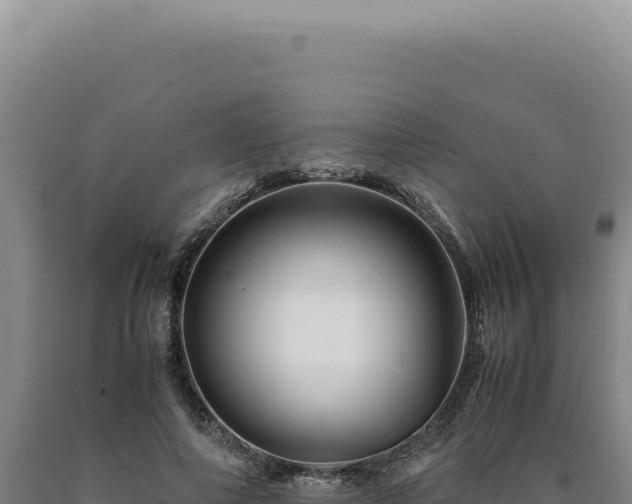 X0000090760690200707271506