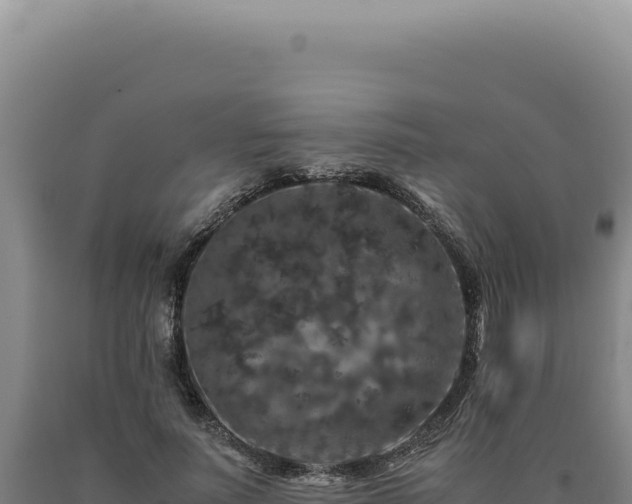 X0000090760691200707271506