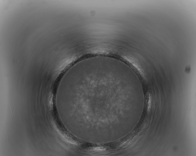 X0000090760692200707271506