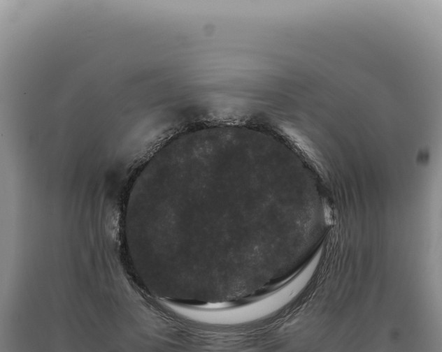 X0000090760693200707271506