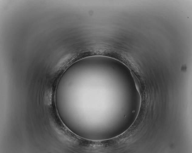 X0000090760694200707271506