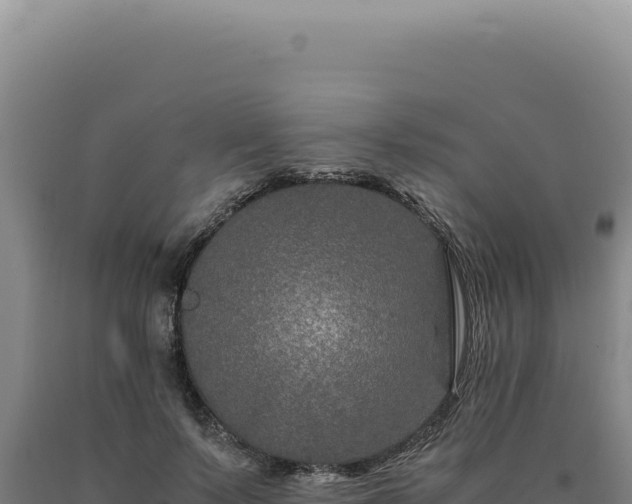 X0000090760695200707271506