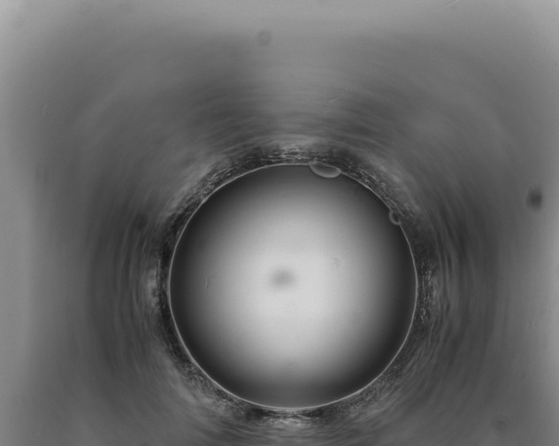 X0000090760698200707271506