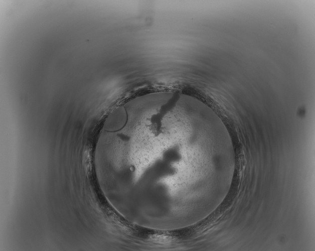 X0000090760699200707271506