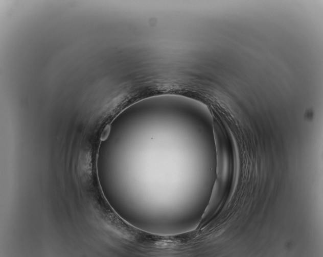 X0000090760700200707271506