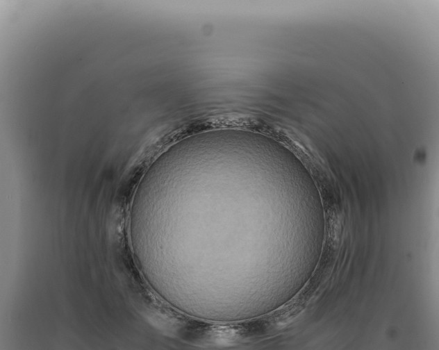 X0000090760701200707271506