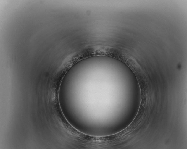 X0000090760706200707271506