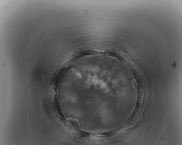 X0000090760707200707271506