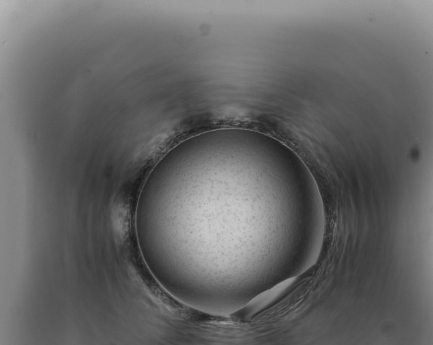 X0000090760708200707271506