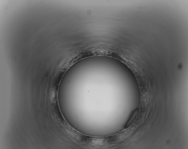 X0000090760709200707271506