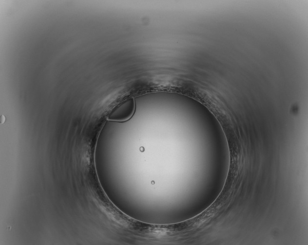 X0000090760710200707271506