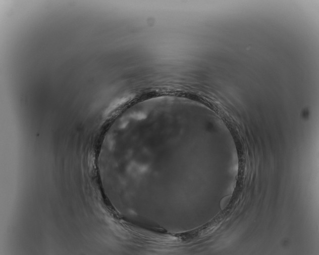 X0000090760711200707271506