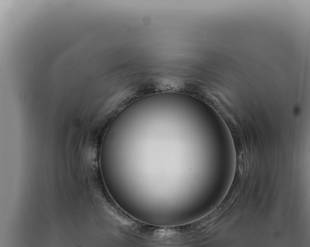 X0000090760714200707271506