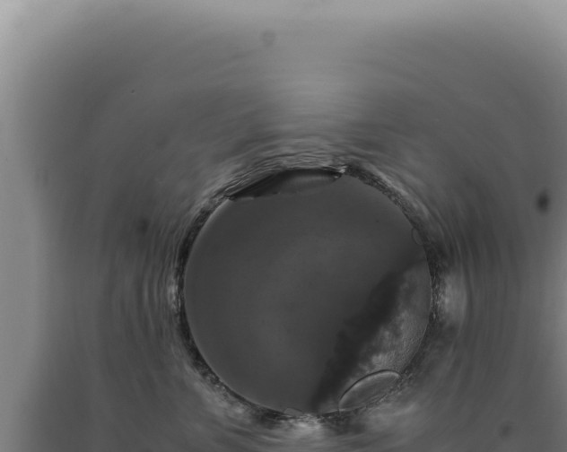 X0000090760715200707271506