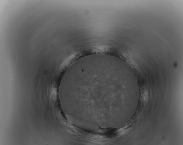 X0000090760716200707271506