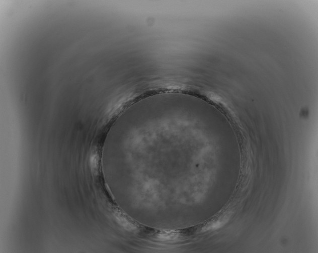 X0000090760720200707271506