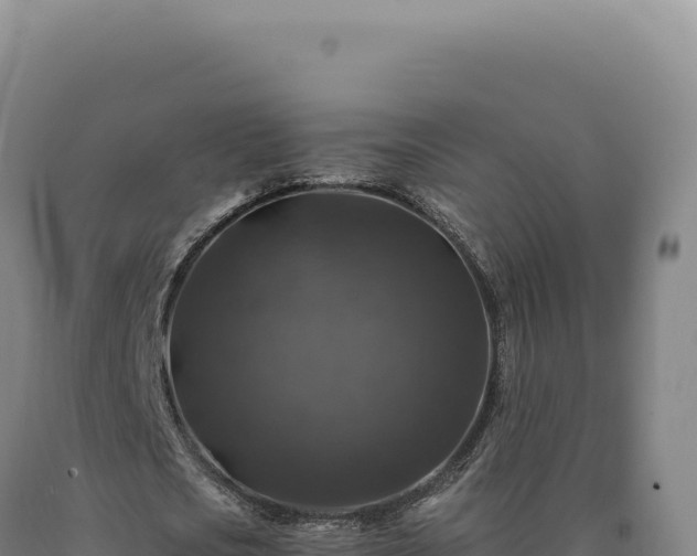 X0000090760721200707271505