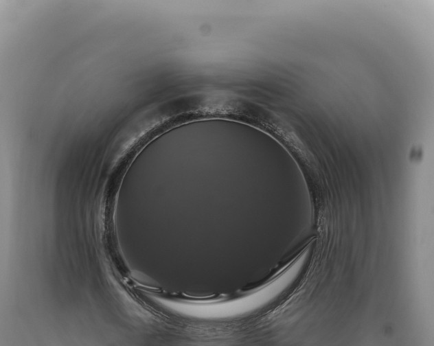 X0000090760722200707271505