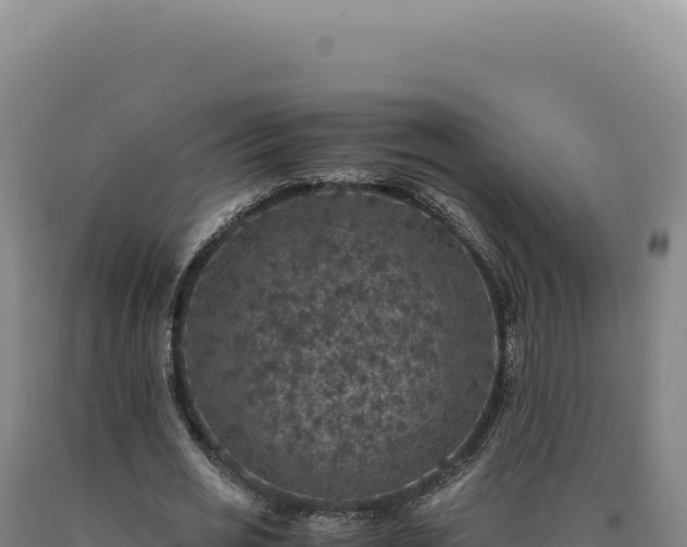 X0000090760725200707271505