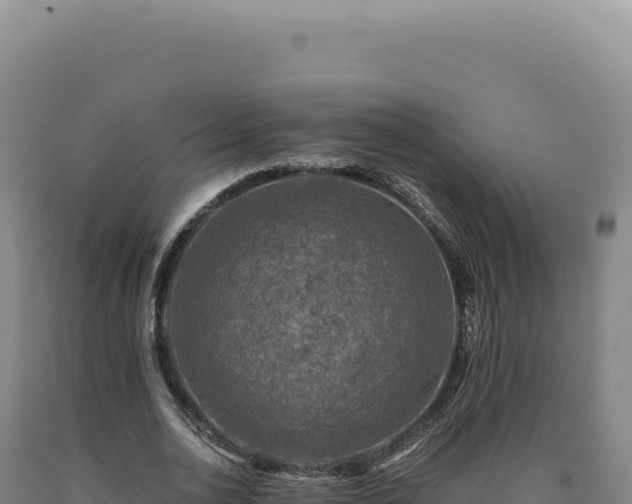 X0000090760726200707271505