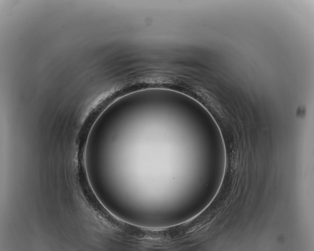 X0000090760727200707271505