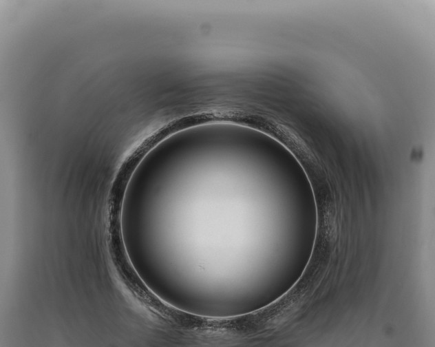 X0000090760730200707271505