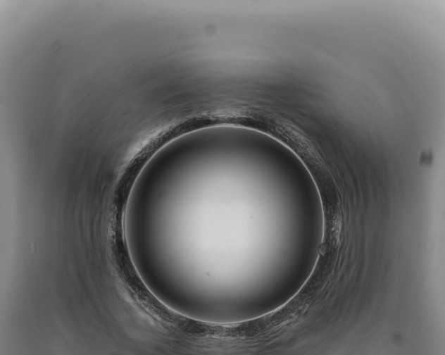 X0000090760732200707271505