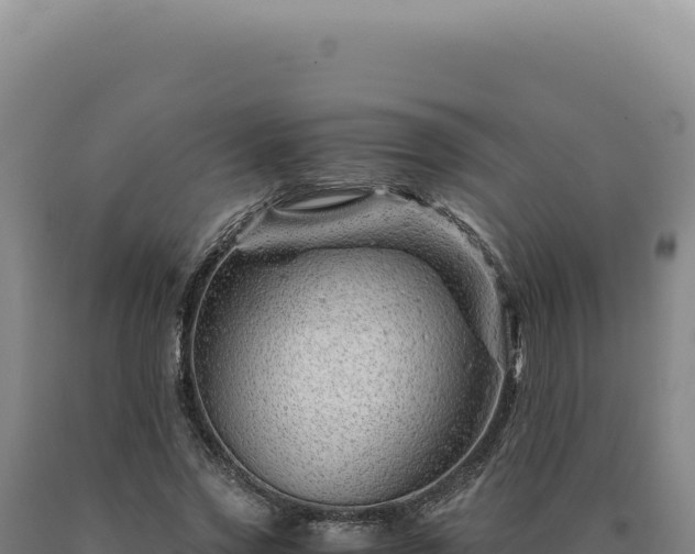 X0000090760733200707271505