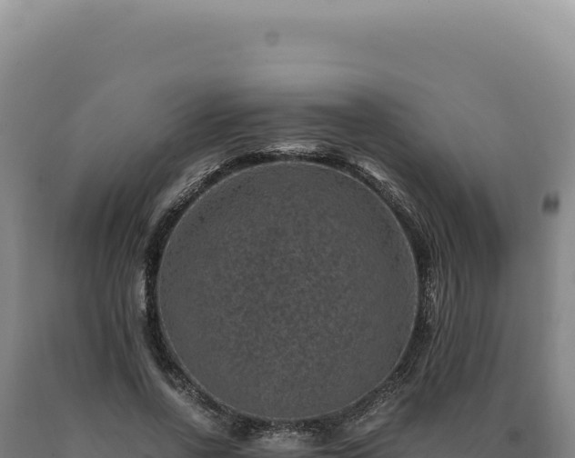 X0000090760734200707271505