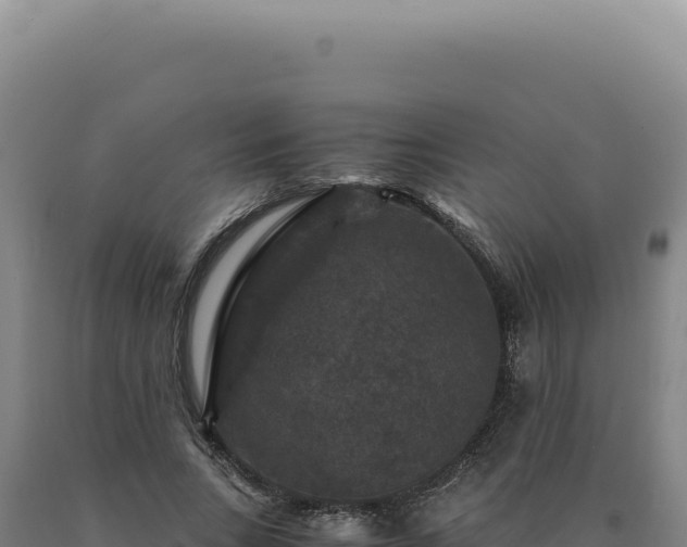 X0000090760735200707271505