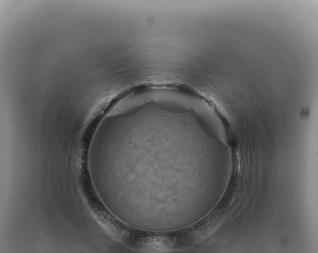 X0000090760736200707271505