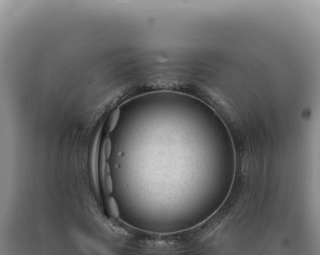 X0000090760737200707271505