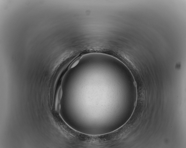 X0000090760738200707271505