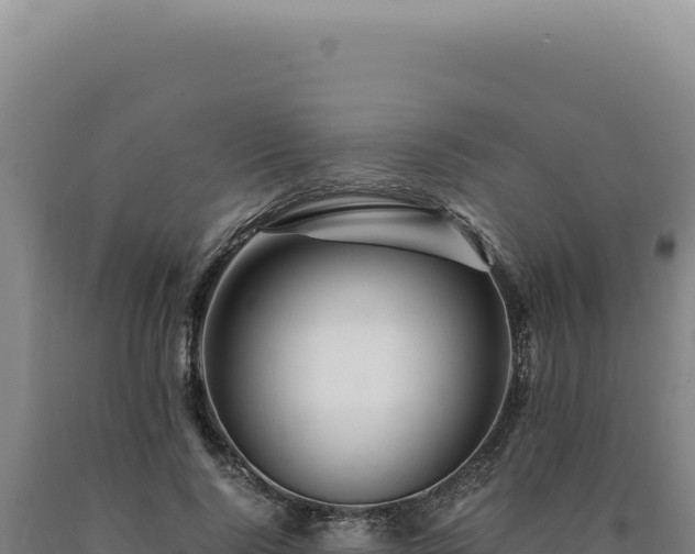 X0000090760740200707271505